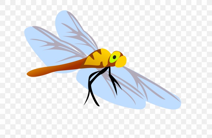 Dragonfly Honey Bee Insect Euclidean Vector, PNG, 1442x939px, Dragonfly, Arthropod, Beak, Bee, Bird Download Free