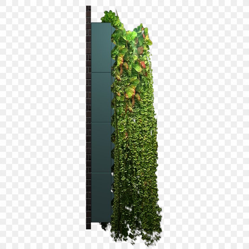 Evergreen Shrub Tree Leaf Flowerpot, PNG, 1000x1000px, Evergreen, Flowerpot, Grass, Ivy, Leaf Download Free
