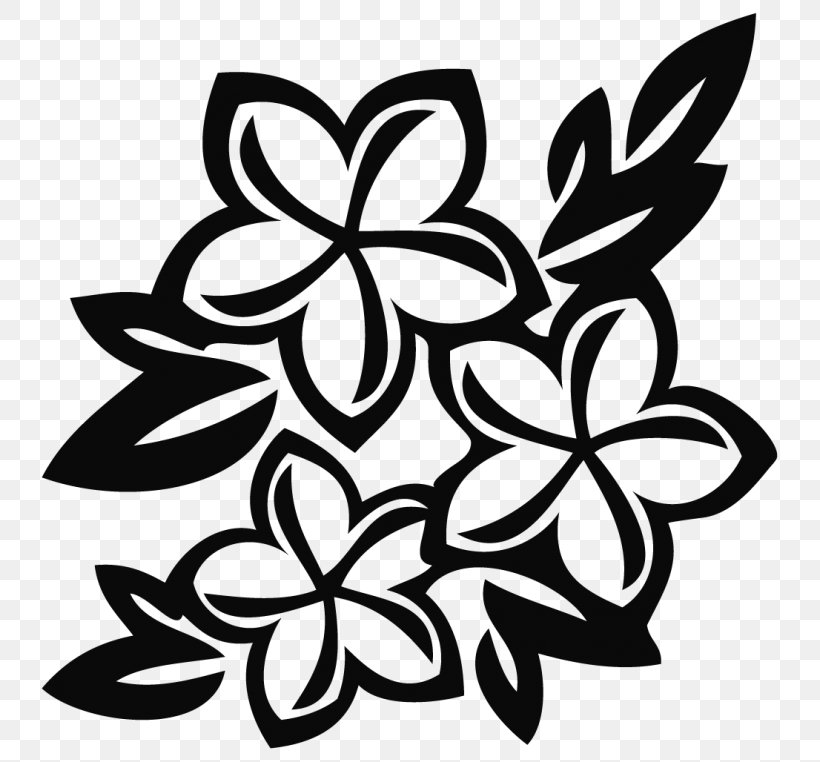 Leaf Black-and-white Plant Flower Petal, PNG, 768x762px, Leaf, Blackandwhite, Flower, Frangipani, Pedicel Download Free