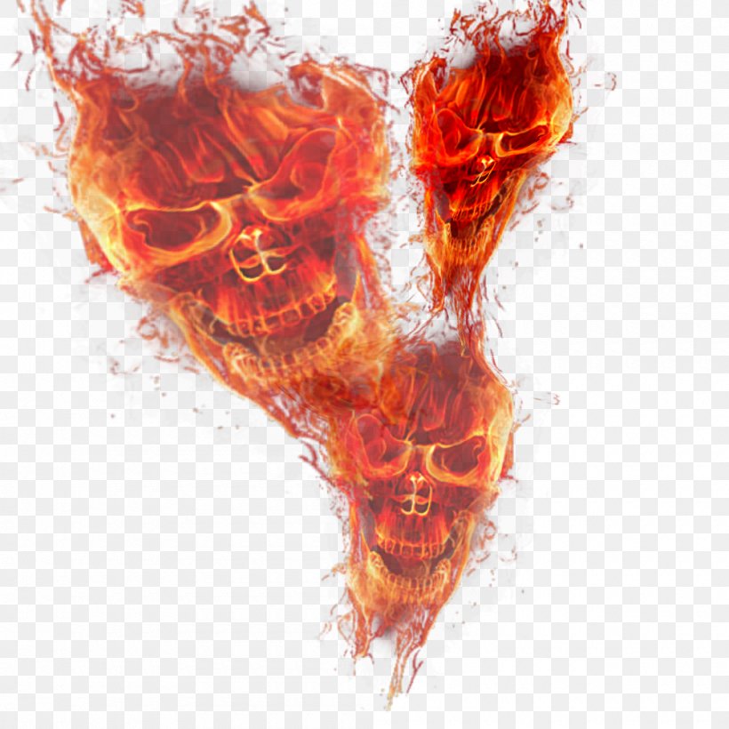 Light Fire Skull Flame, PNG, 1000x1000px, Watercolor, Cartoon, Flower, Frame, Heart Download Free