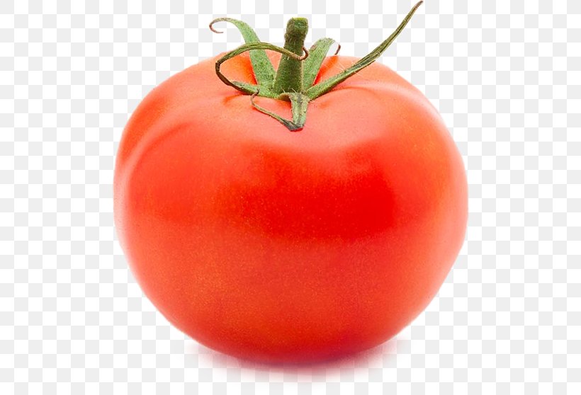Plum Tomato Bush Tomato Vegetarian Cuisine Food, PNG, 506x558px, Plum Tomato, Bush Tomato, Diet, Diet Food, Food Download Free