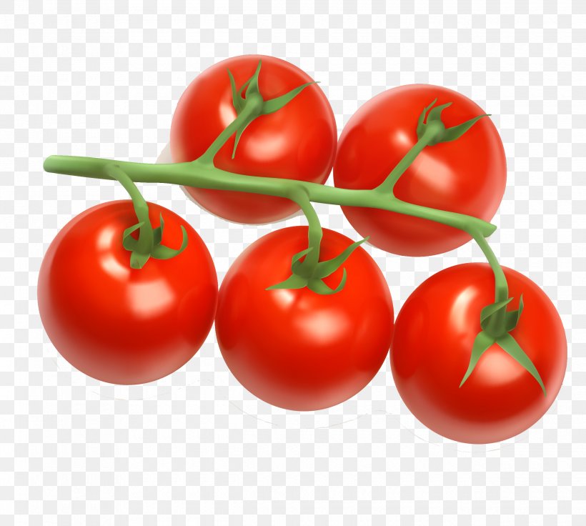 Tomato Juice Cherry Tomato Clip Art, PNG, 2480x2228px, Tomato Juice, Bush Tomato, Cherry, Cherry Tomato, Diet Food Download Free