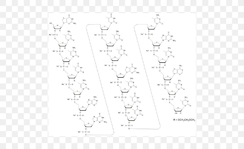 White Point Line Art Angle Non-proteinogenic Amino Acids, PNG, 500x500px, White, Amino Acid, Animal, Area, Black And White Download Free