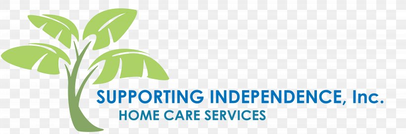 Health Care Home Care Service Florida Essentia Health Hospital, PNG, 8874x2954px, Health Care, Area, Brand, Clinic, Essentia Health Download Free