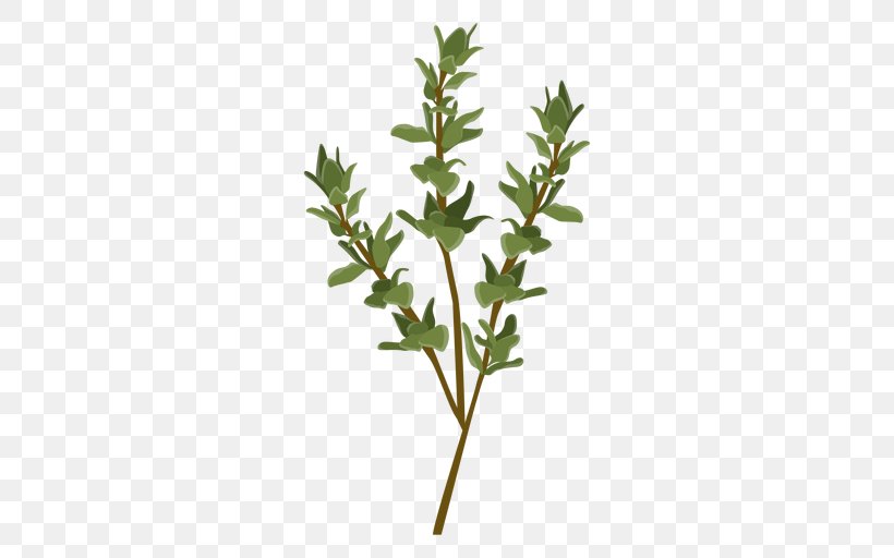 Herb Vector Graphics Thyme Spice, PNG, 512x512px, Herb, Branch, Fines Herbes, Leaf, Mint Download Free