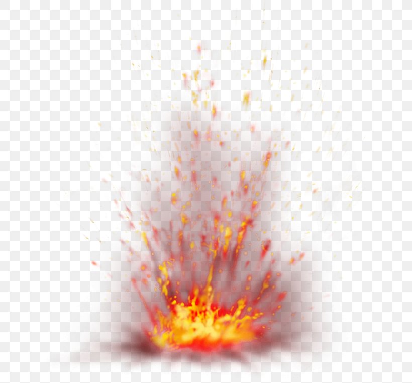 Light Flame Fire Clip Art, PNG, 658x762px, Light, Computer Network, Explosion, Fire, Fireworks Download Free