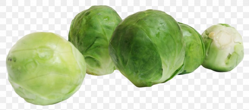 Brussels Sprout Cabbage Vegetable Sprouting, PNG, 2018x895px, Brussels Sprout, Biennial Plant, Brassica Oleracea, Cabbage, Collard Greens Download Free
