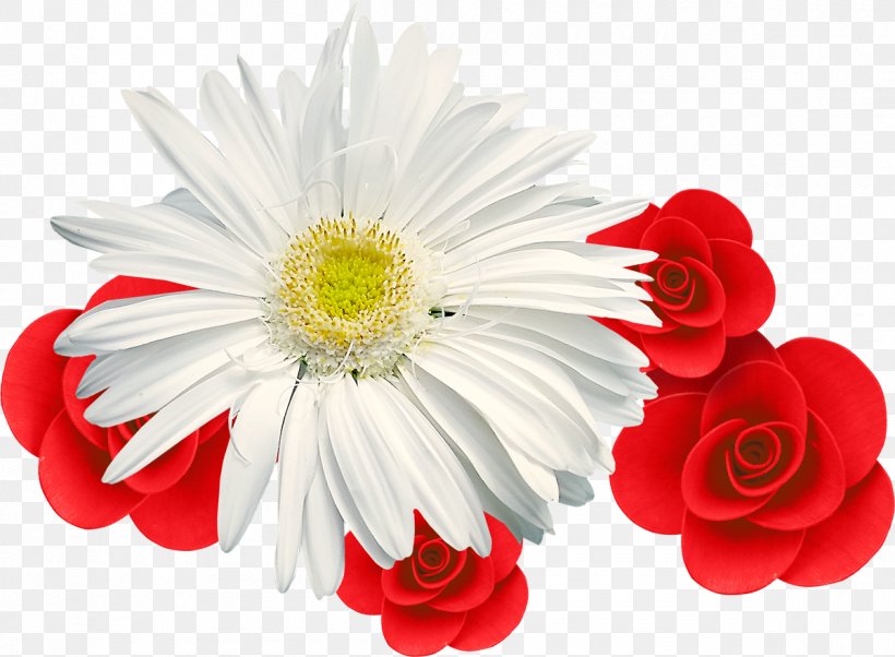 Chrysanthemum Desktop Wallpaper Muscle, PNG, 1200x881px, Chrysanthemum, Artificial Flower, Beach Rose, Chrysanths, Color Download Free