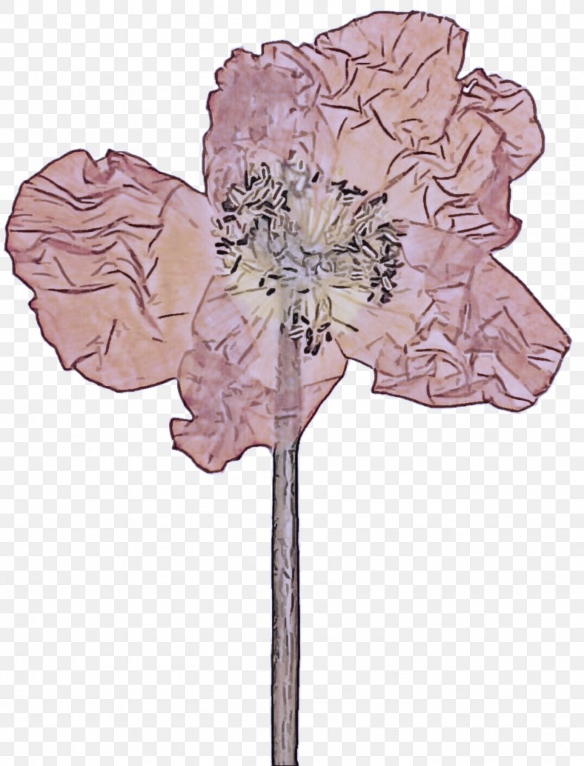 Flower Leaf Plant Pink Tree, PNG, 1024x1342px, Flower, Cut Flowers, Leaf, Petal, Pink Download Free