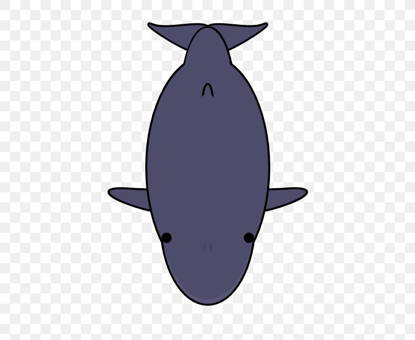 Porpoise Cetacea Clip Art, PNG, 500x672px, Porpoise, Cetacea, Dolphin, Fish, Marine Mammal Download Free