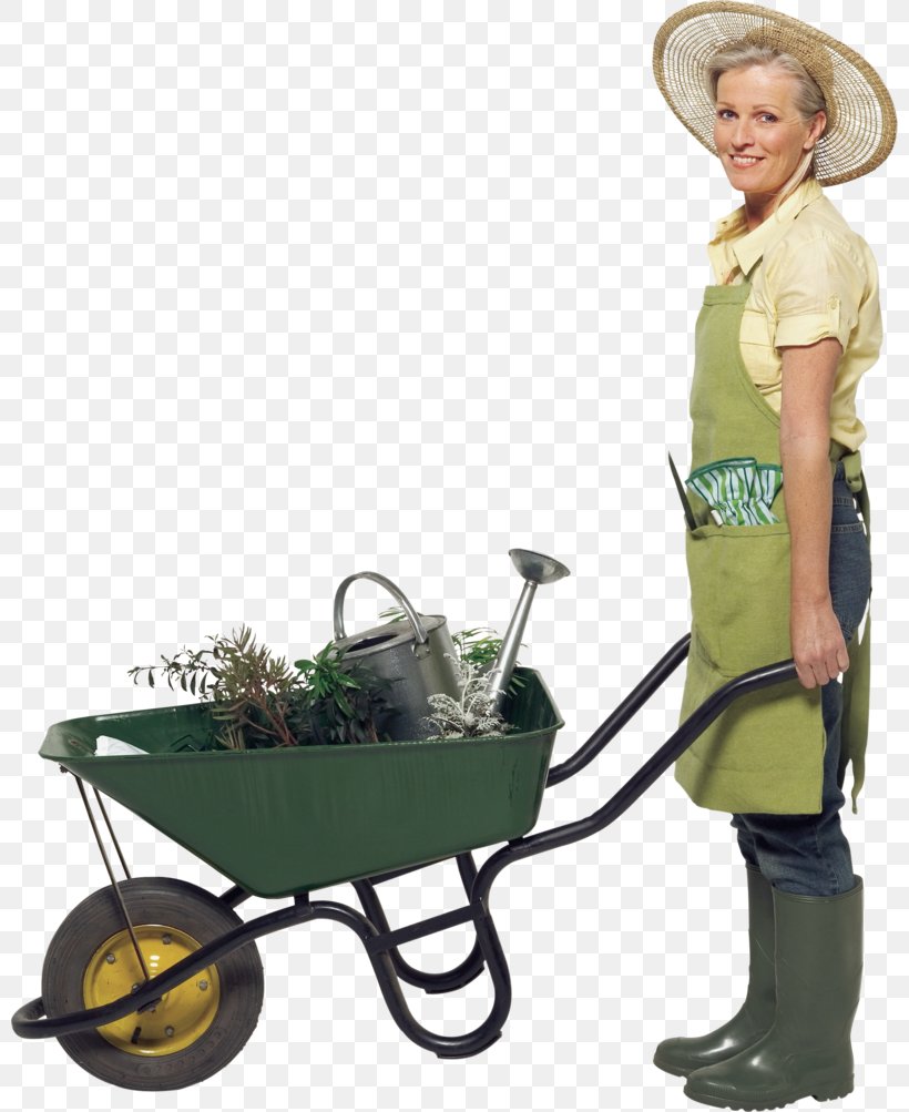 Portrait Photography Image Clip Art Wheelbarrow, PNG, 800x1003px, Portrait, Cart, Gardening, Getty Images, Highangle Shot Download Free