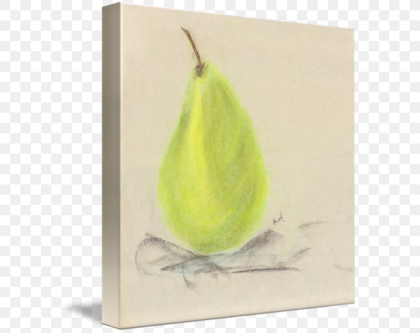 Still Life Photography Pear Drawing, PNG, 578x650px, Still Life, Artwork, Drawing, Food, Fruit Download Free
