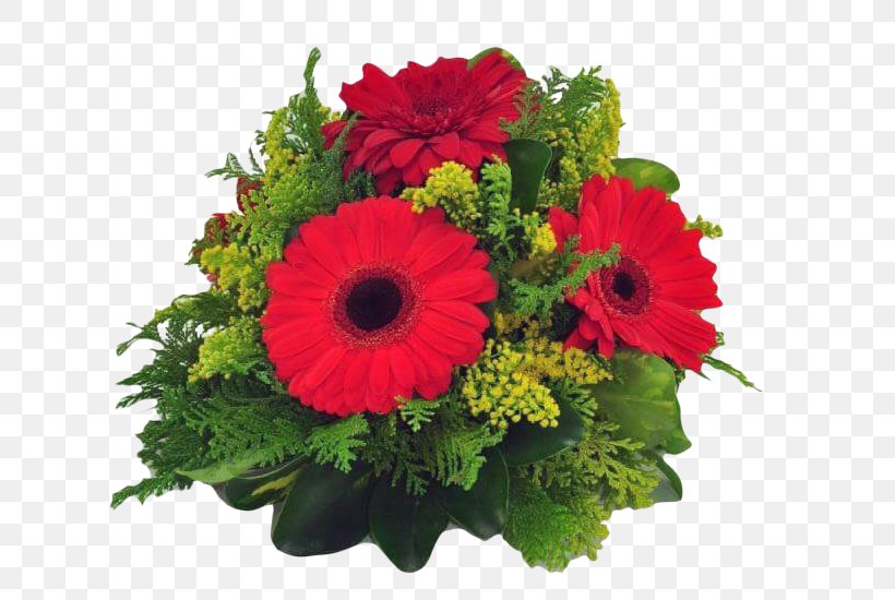 Transvaal Daisy Floral Design Cut Flowers Red, PNG, 656x550px, Transvaal Daisy, Annual Plant, Arrangement, Centrepiece, Chrysanthemum Download Free
