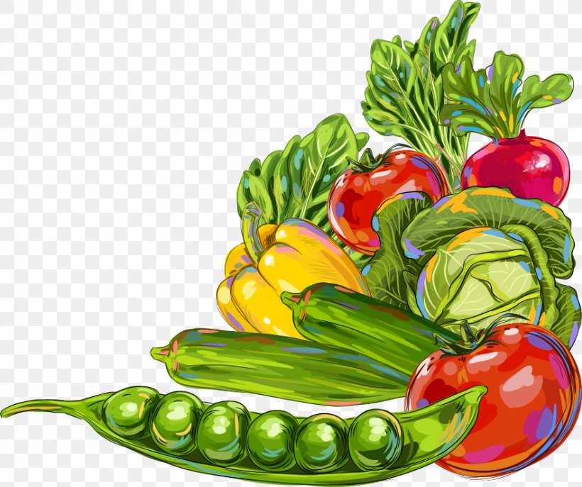 Vegetable Okra Fruit Illustration, PNG, 883x740px, Vegetable, Bell Peppers And Chili Peppers, Cartoon, Cayenne Pepper, Diet Food Download Free