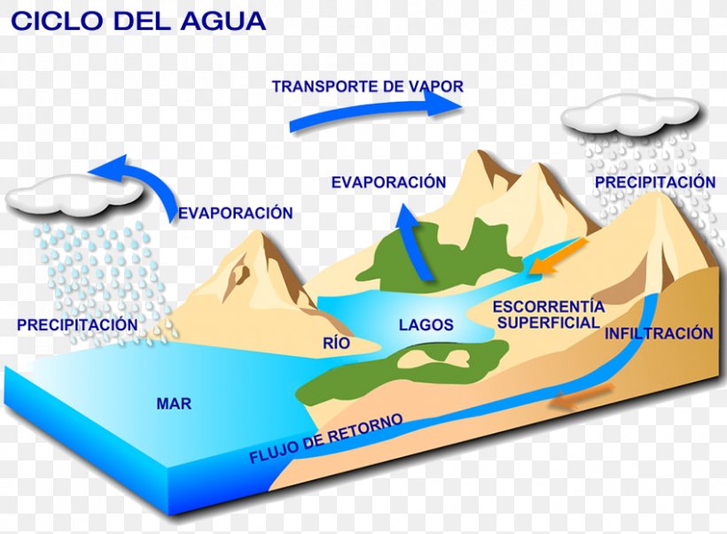 Biogeochemical Cycle Water Cycle Biogeochemistry Carbon Cycle Ecosystem, PNG, 848x624px, Biogeochemical Cycle, Area, Biogeochemistry, Brand, Carbon Cycle Download Free