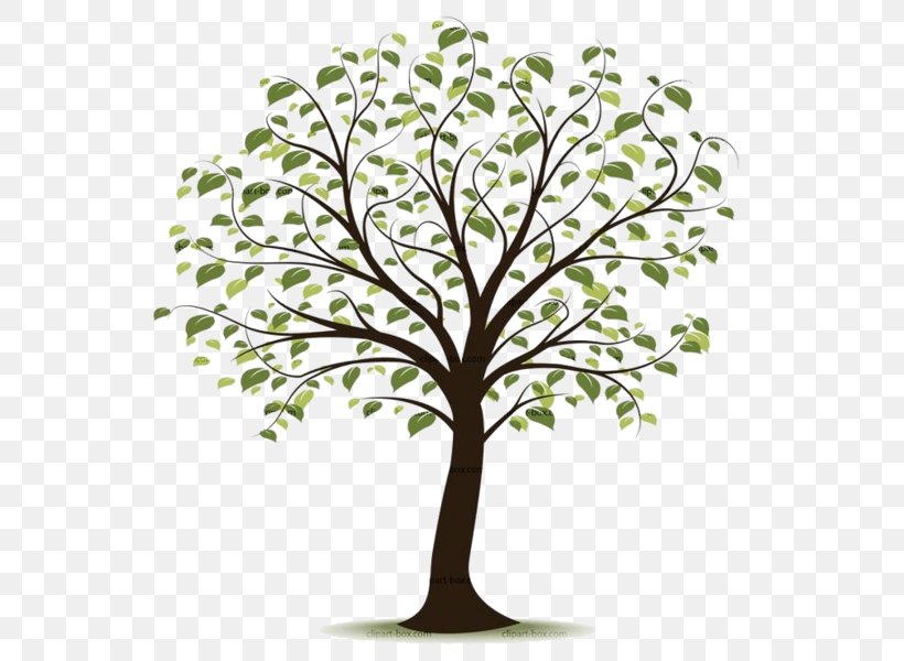 Clip Art Openclipart Free Content Image Tree, PNG, 600x600px, Tree, Branch, Document, Flower, Leaf Download Free