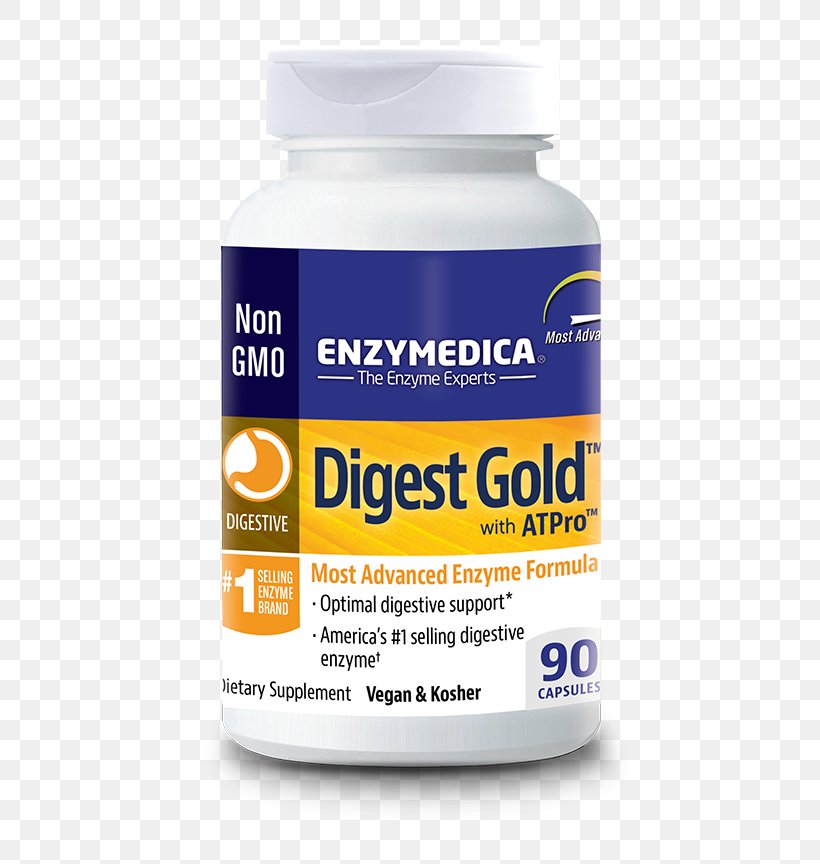 Dietary Supplement Digestion Digestive Enzyme Food, PNG, 537x864px, Dietary Supplement, Amylase, Brand, Cellulase, Digestion Download Free