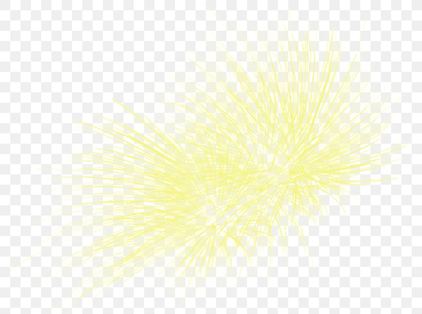 Fireworks Download Clip Art, PNG, 790x612px, Fireworks, Chinese New Year, Copyright, Festival, New Year Download Free