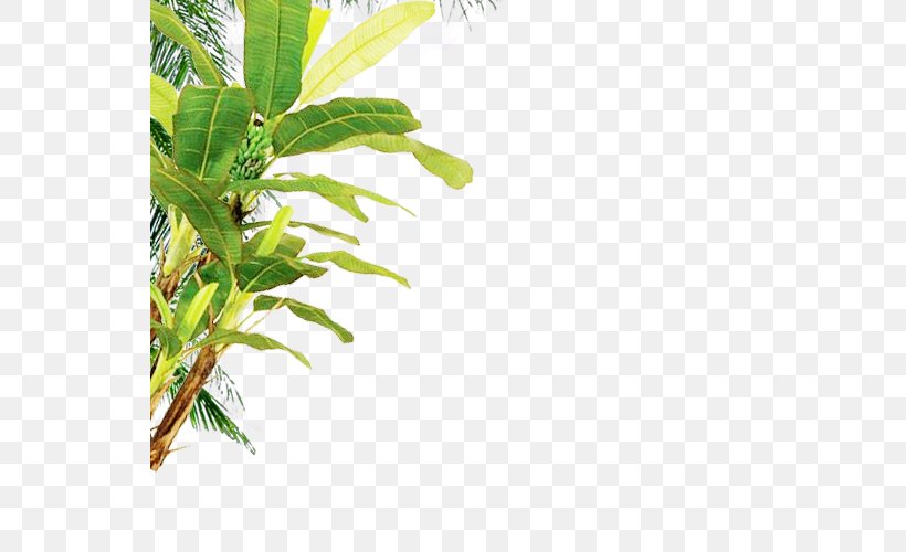 Download Tree Computer File, PNG, 547x500px, Tree, Banana, Beach, Branch, Button Download Free