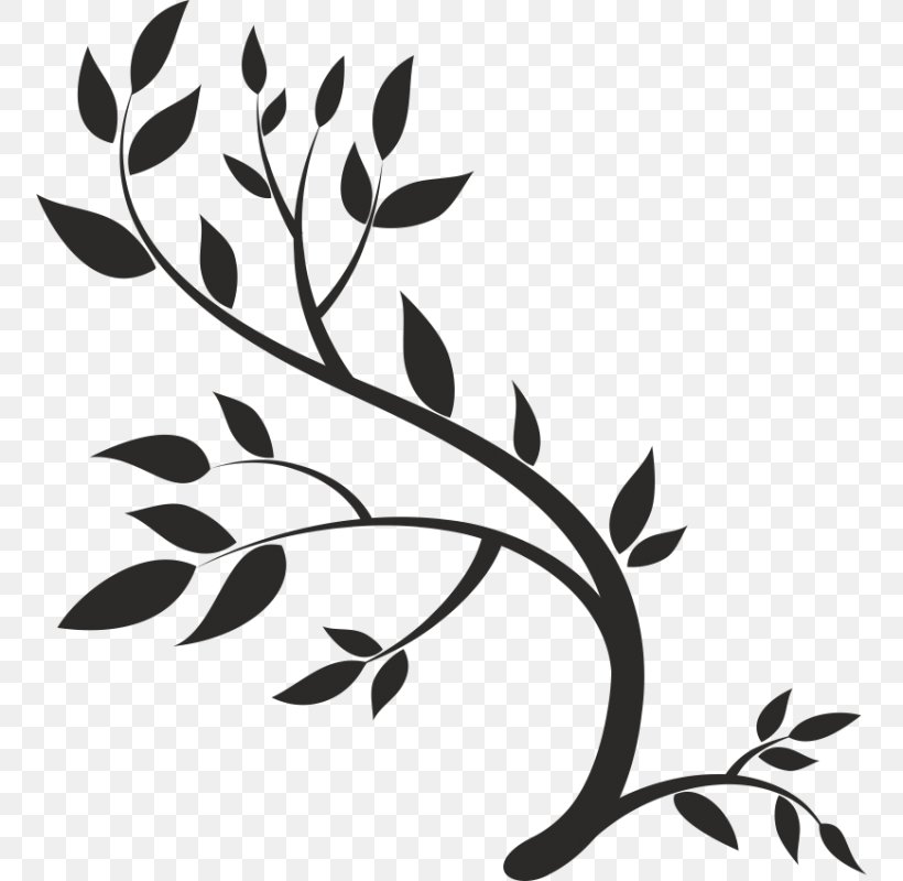 Drawing Leaf, PNG, 800x800px, Drawing, Art, Black And White, Branch, Flora Download Free
