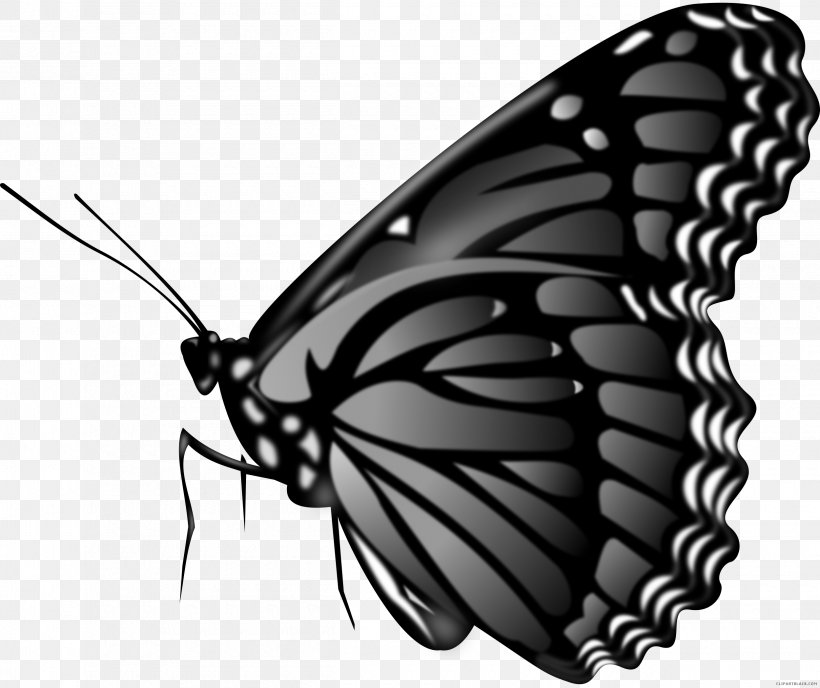 GPS Navigation Systems Vector Graphics Image Photography, PNG, 2500x2100px, Gps Navigation Systems, Arthropod, Black And White, Brush Footed Butterfly, Butterfly Download Free