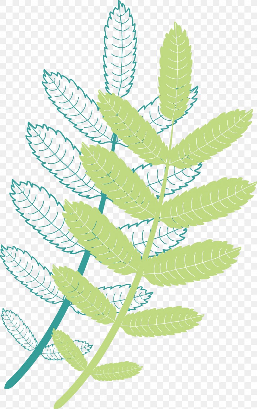 Leaf Plant Stem Pattern, PNG, 997x1587px, Leaf, Branch, Organism, Plant, Plant Stem Download Free