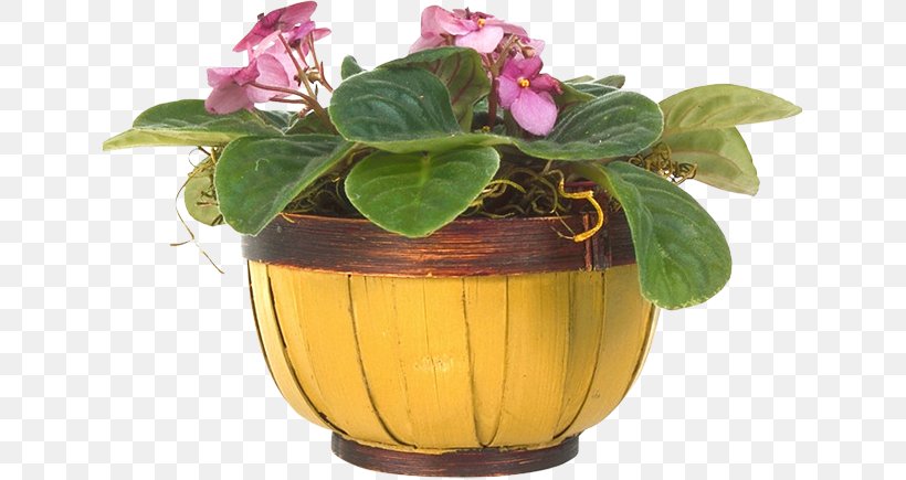 Window Московские окна Flowerpot .ru Mansard Roof, PNG, 633x435px, Window, Flower, Flowerpot, Herb, Houseplant Download Free