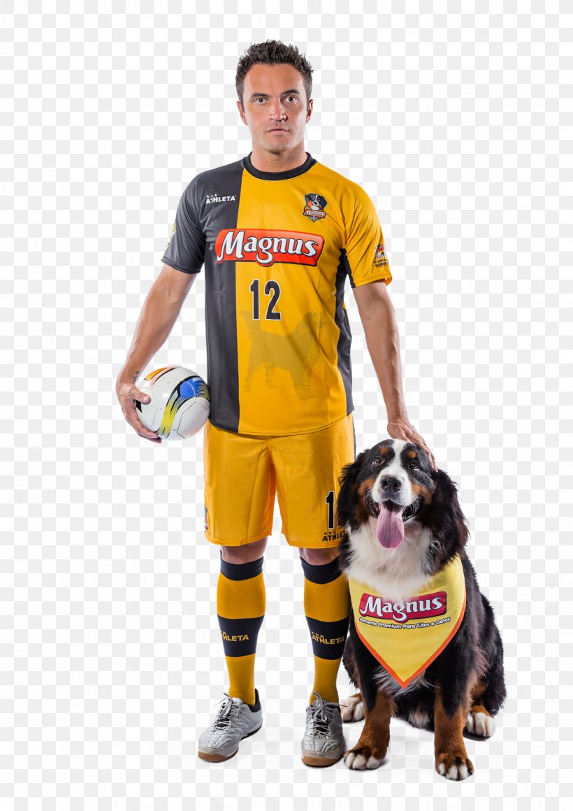 Futsal Brasil Kirin Football Player São Paulo FC Sport, PNG, 1131x1600px, Futsal, Ball, Brand, Clothing, Dog Clothes Download Free