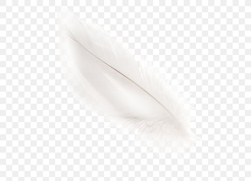White Feather Material Black, PNG, 650x593px, White, Black, Black And White, Feather, Material Download Free