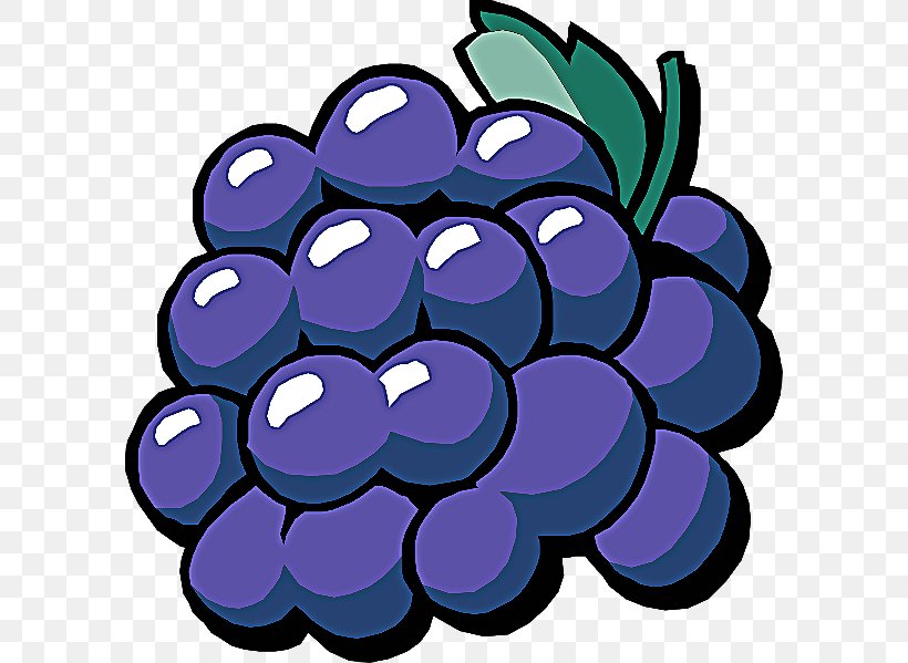 Grape Purple Grapevine Family Violet Fruit, PNG, 594x599px, Grape, Berry, Fruit, Grapevine Family, Plant Download Free