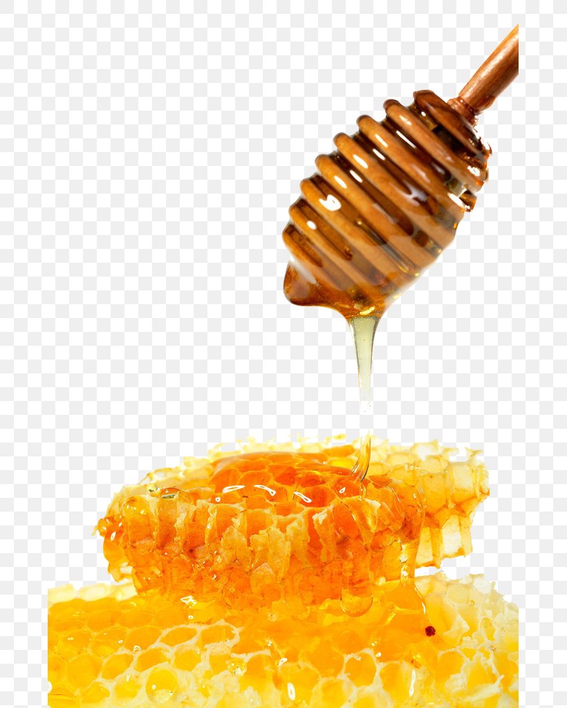 Honey Bee Mu0101nuka Honey Honeycomb, PNG, 681x1024px, Bee, Apitoxin, Beekeeping, Commodity, Corn On The Cob Download Free