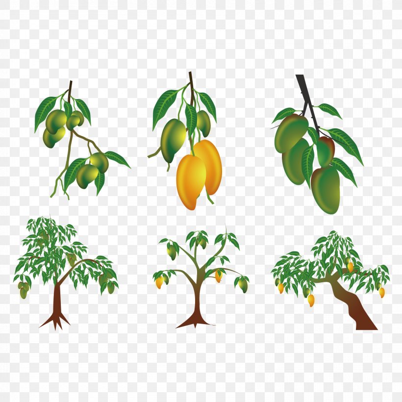Mango Euclidean Vector Clip Art, PNG, 1667x1667px, Mangifera Indica, Branch, Clip Art, Flowering Plant, Flowerpot Download Free