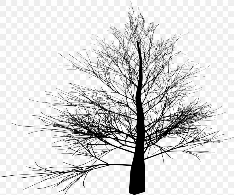 Tree Branch Image File Formats Clip Art, PNG, 2332x1950px, Tree, Black And White, Branch, Conifer, Deciduous Download Free