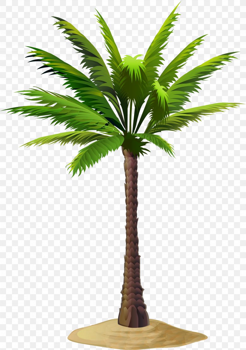 Asian Palmyra Palm Date Palm Arecaceae Clip Art, PNG, 4919x7000px, Asian Palmyra Palm, Arecaceae, Arecales, Attalea Speciosa, Babassu Download Free