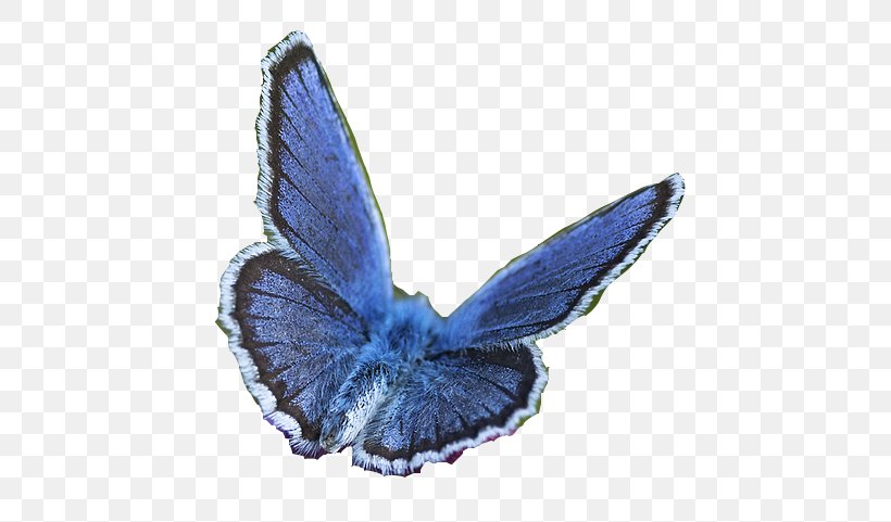 Butterfly Moth Clip Art, PNG, 546x481px, Butterfly, Blue, Com, Creative Commons, Deviantart Download Free