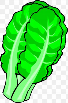 Chinese Cabbage Cartoon Vegetable, PNG, 800x800px, Cabbage, Brassica ...