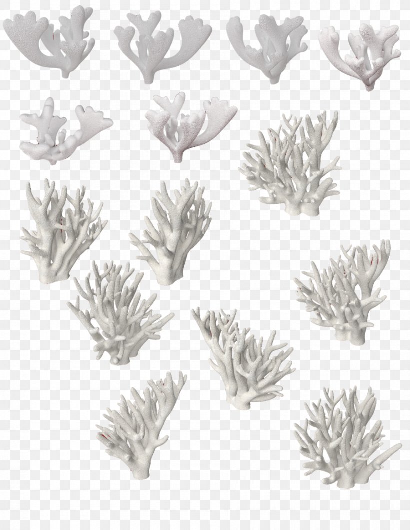 Coral Travel Clip Art, PNG, 900x1164px, Coral Travel, Art, Black And White, Branch, Computer Software Download Free