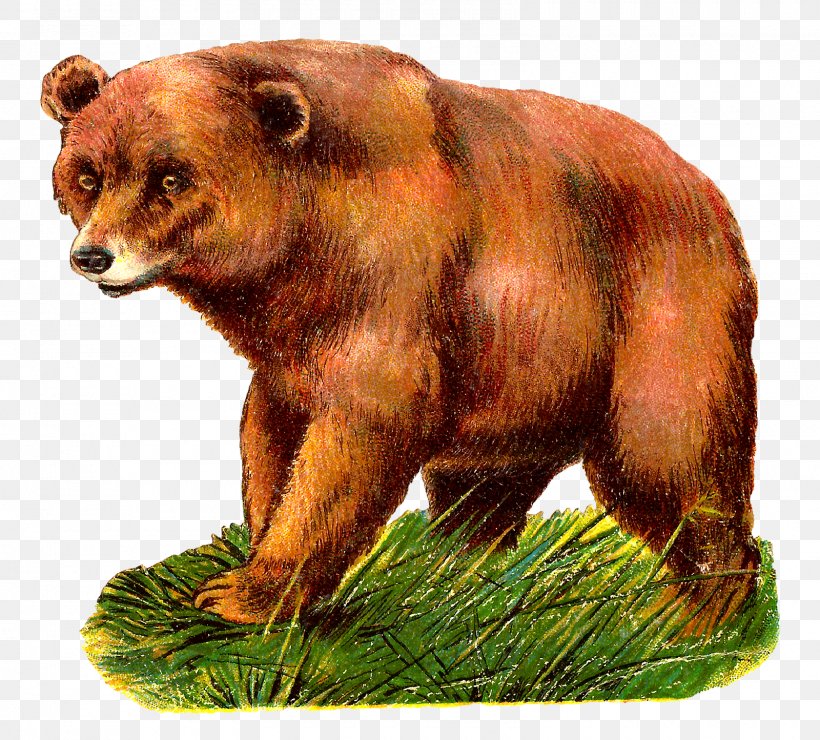 Grizzly Bear Alaska Peninsula Brown Bear Clip Art, PNG, 1600x1444px, Grizzly Bear, Alaska Peninsula Brown Bear, Animal, Antique, Bear Download Free
