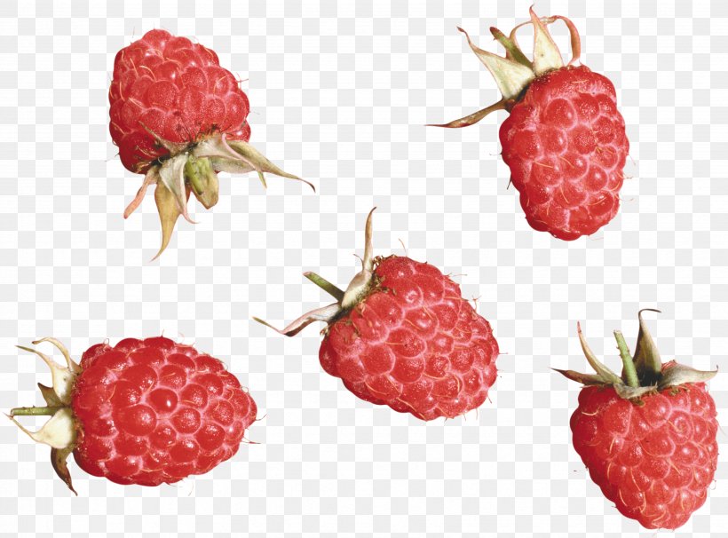 Raspberry PhotoScape, PNG, 3463x2562px, Raspberry, Accessory Fruit, Berry, Display Resolution, Food Download Free