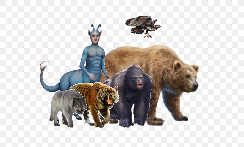 Bear Big Cat Terrestrial Animal Puma, PNG, 625x493px, Bear, Animal, Big Cat, Big Cats, Carnivoran Download Free