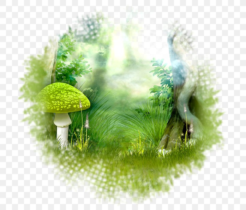 Image Photography Fairy Picture Frames, PNG, 700x700px, Photography, Fairy, Fantasy, Garden, Grass Download Free