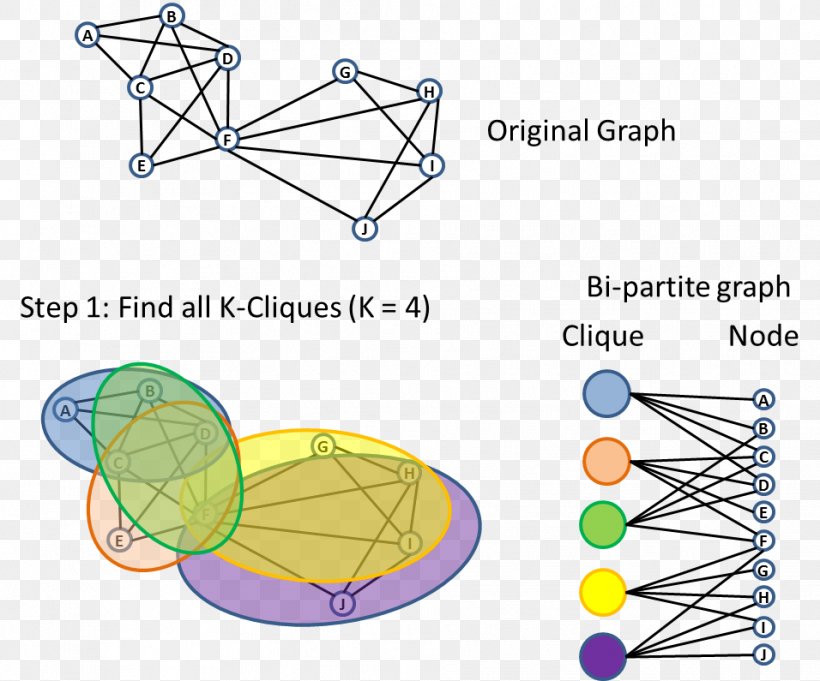 Line Point, PNG, 956x795px, Point, Area, Diagram, Organism, Parallel Download Free