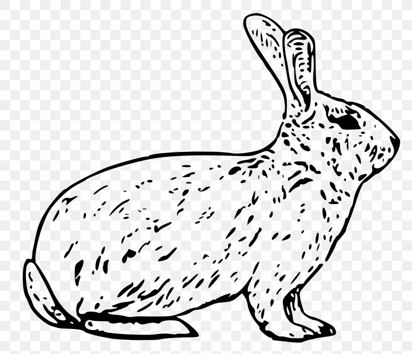 Snowshoe Hare Arctic Hare Rabbit Clip Art, PNG, 800x706px, Snowshoe Hare, Animal Figure, Arctic Hare, Black And White, Carnivoran Download Free