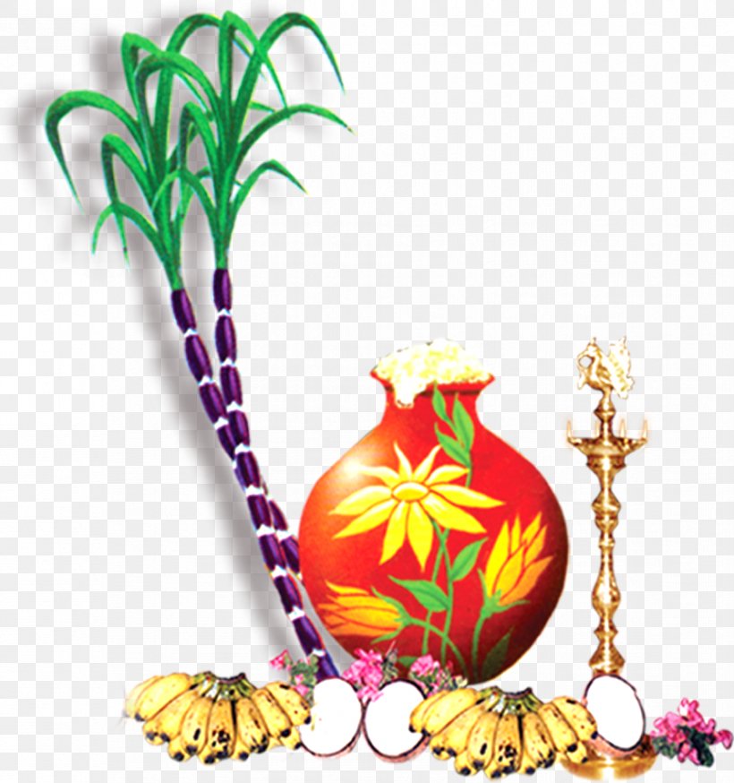 Thai Pongal Wish Greeting Happiness, PNG, 891x950px, Thai Pongal, Birthday, Flower, Flowering Plant, Food Download Free