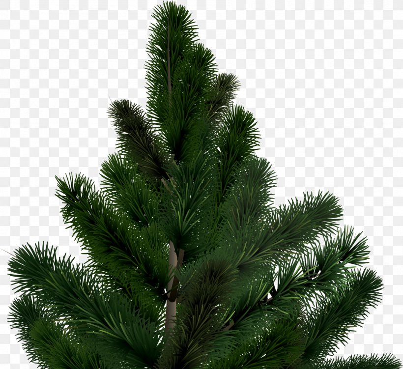 Download Christmas Tree Clip Art, PNG, 1789x1640px, Christmas Tree, Biome, Branch, Christmas Decoration, Conifer Download Free