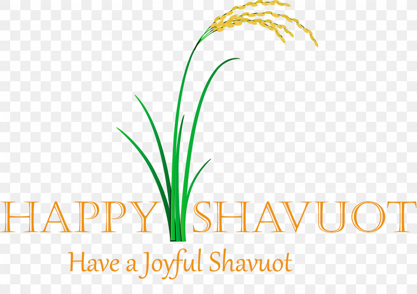 Happy Shavuot Shavuot Shovuos, PNG, 3000x2119px, Happy Shavuot, Grass, Grass Family, Leaf, Line Download Free