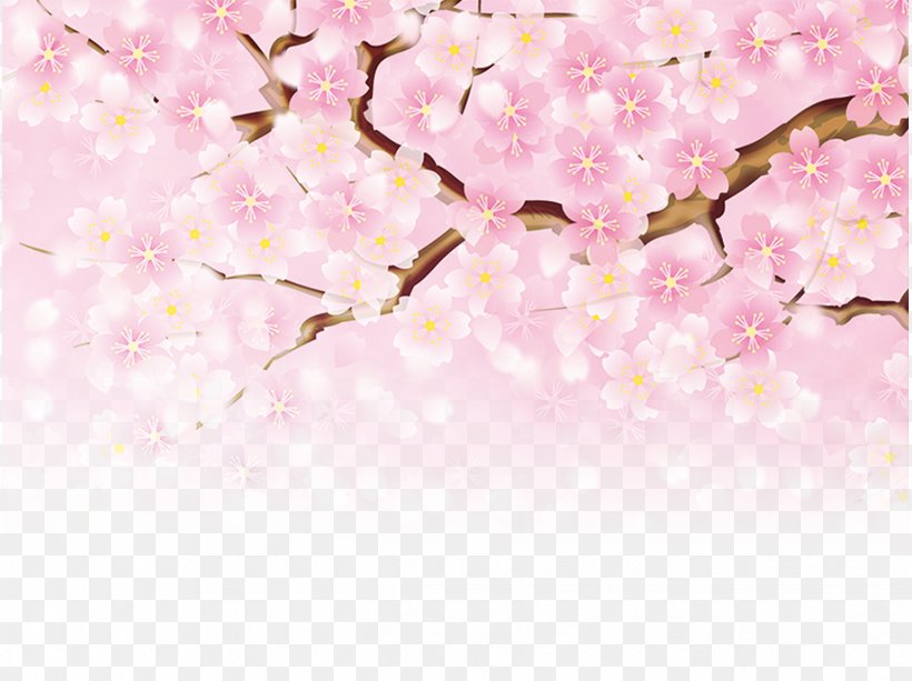 Peach Fundal Pink Poster, PNG, 2436x1823px, Peach, Blossom, Branch, Cherry Blossom, Color Download Free