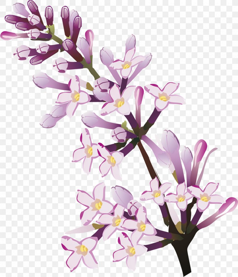 Cut Flowers Floral Design Lilac Floristry, PNG, 1031x1200px, Flower, Blossom, Branch, Cut Flowers, Floral Design Download Free