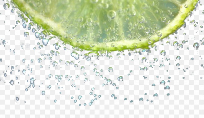 Lime Lemonade Water, PNG, 960x556px, Lime, Citrus, Fruit, Green, Leaf Download Free