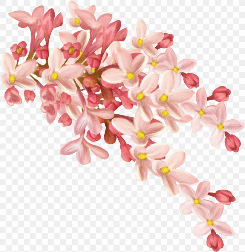Osmanthus Cake Flower Clip Art, PNG, 1089x1120px, Osmanthus Cake, Blossom, Branch, Cherry Blossom, Color Download Free